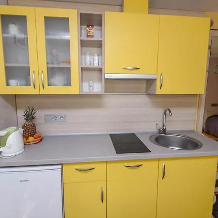 Inkaras Паланга