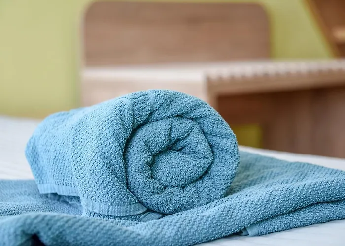 Inkaras Паланга