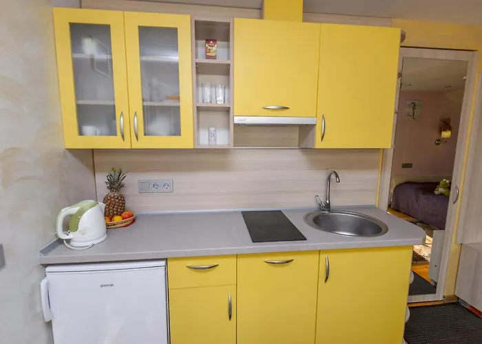 Inkaras Паланга